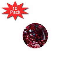 Red Floral 1  Mini Magnet (10 Pack)  by Sparkle