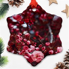 Red Floral Ornament (snowflake) by Sparkle