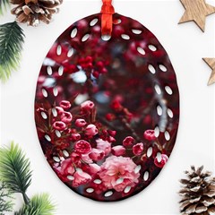 Red Floral Ornament (oval Filigree) by Sparkle