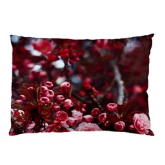 Red Floral Pillow Case by Sparkle