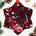 Red Floral Ornament (Snowflake) Front