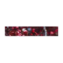 Red Floral Flano Scarf (mini) by Sparkle