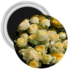 Yellow Roses 3  Magnets by Sparkle