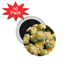 Yellow Roses 1 75  Magnets (10 Pack)  by Sparkle