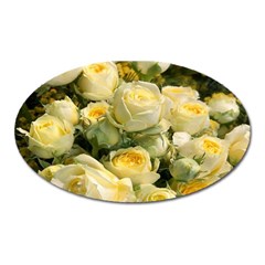 Yellow Roses Oval Magnet by Sparkle