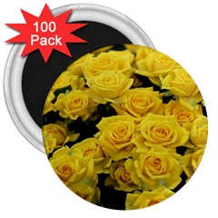 Yellow Roses 3  Magnets (100 Pack) by Sparkle