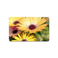 Yellow Flowers Magnet (name Card) by Sparkle