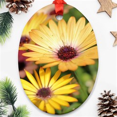 Yellow Flowers Oval Ornament (two Sides) by Sparkle