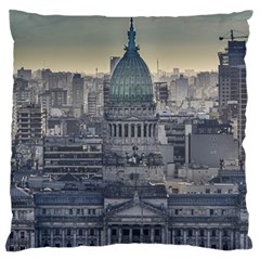 Buenos Aires Argentina Cityscape Aerial View Standard Flano Cushion Case (two Sides) by dflcprintsclothing