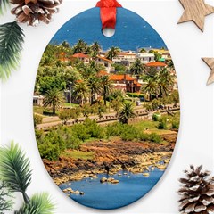 Punta Colorada Aerial Landscape Scene, Uruguay Ornament (oval) by dflcprintsclothing