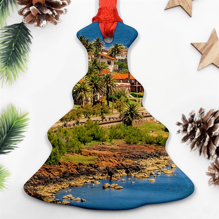 Punta Colorada Aerial Landscape Scene, Uruguay Christmas Tree Ornament (Two Sides)