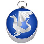 Origami Dragon Silver Compasses Front