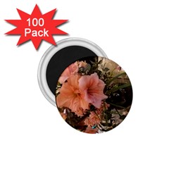 20181209 181459 1 75  Magnets (100 Pack)  by 45678