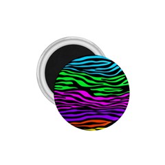 Colorful Zebra 1.75  Magnets