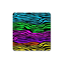 Colorful Zebra Square Magnet