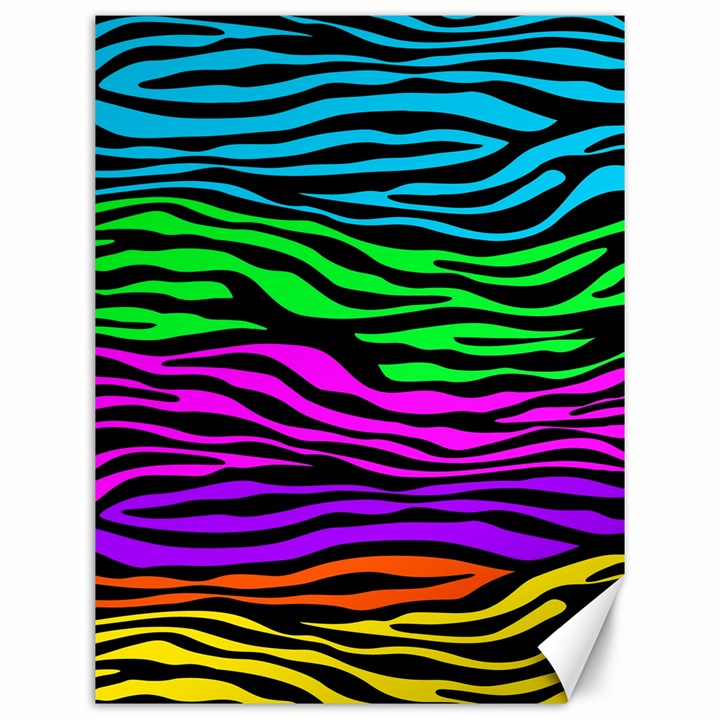 Colorful Zebra Canvas 12  x 16 