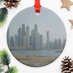 P1020022 Ornament (round) by 45678