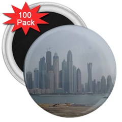 P1020022 3  Magnets (100 Pack) by 45678