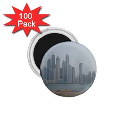 P1020022 1 75  Magnets (100 Pack)  by 45678