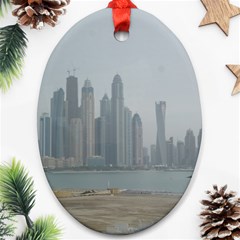 P1020022 Ornament (oval) by 45678