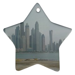 P1020022 Star Ornament (two Sides) by 45678