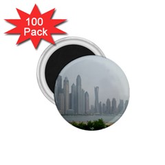 P1020023 1 75  Magnets (100 Pack)  by 45678