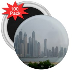 P1020023 3  Magnets (100 Pack) by 45678