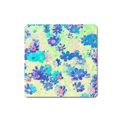 Cosmos Flowers Blue Square Magnet by DinkovaArt