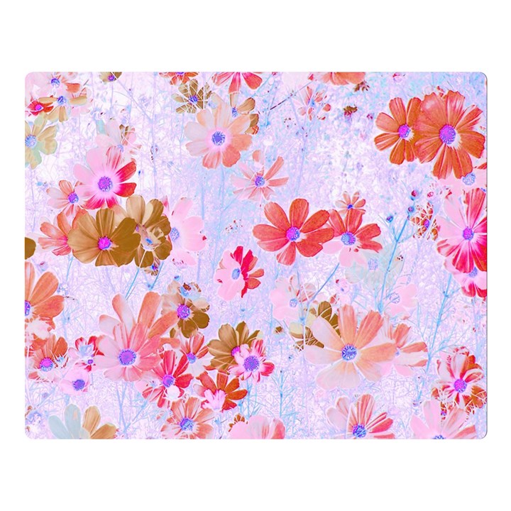 Cosmos Flowers Pink Double Sided Flano Blanket (Large) 