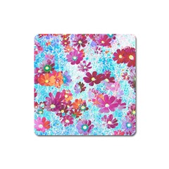 Cosmos Flowers Square Magnet