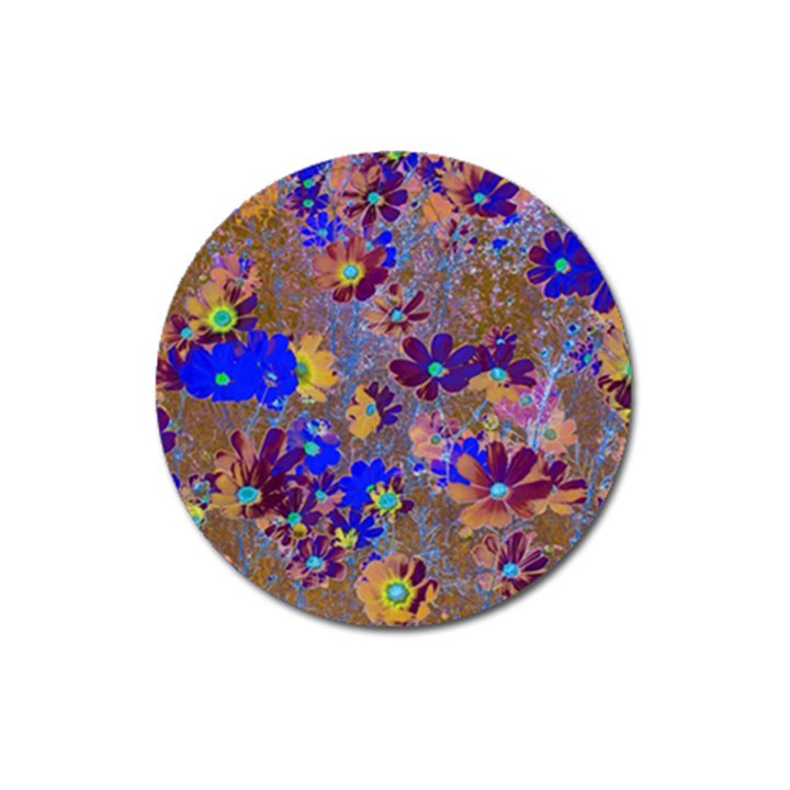 Cosmos Flowers Brown Blue Magnet 3  (Round)