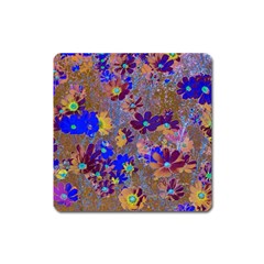 Cosmos Flowers Brown Blue Square Magnet by DinkovaArt