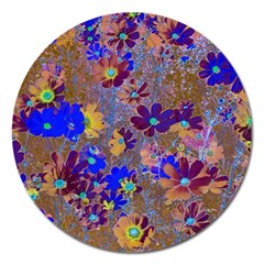 Cosmos Flowers Brown Blue Magnet 5  (round) by DinkovaArt