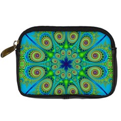 Peacock Mandala Kaleidoscope Arabesque Pattern Digital Camera Leather Case by SpinnyChairDesigns