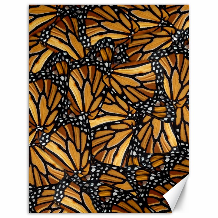 Monarch Butterfly Wings Pattern Canvas 12  x 16 