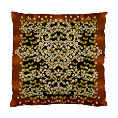 Free As A Flower And Frangipani In  Freedom Standard Cushion Case (one Side) by pepitasart