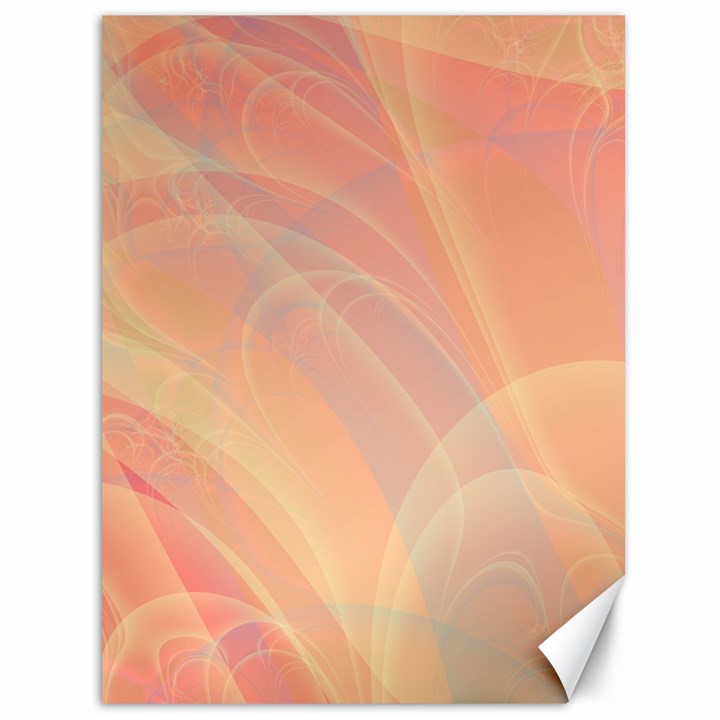 Coral Cream Abstract Art Pattern Canvas 36  x 48 