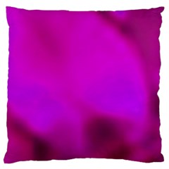 Fun Fuschia Large Cushion Case (two Sides) by Janetaudreywilson