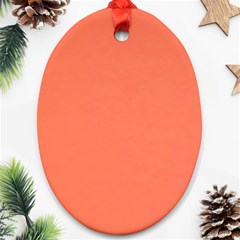 Appreciating Apricot Ornament (oval) by Janetaudreywilson