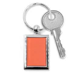 Appreciating Apricot Key Chain (rectangle) by Janetaudreywilson