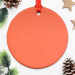 Appreciating Apricot Ornament (round) by Janetaudreywilson