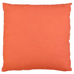 Appreciating Apricot Large Cushion Case (two Sides) by Janetaudreywilson