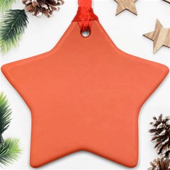 Appreciating Apricot Star Ornament (two Sides) by Janetaudreywilson