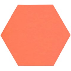 Appreciating Apricot Wooden Puzzle Hexagon by Janetaudreywilson