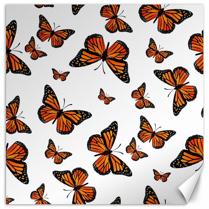 Monarch Butterflies Canvas 16  x 16 