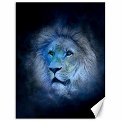 Astrology Zodiac Lion Canvas 18  X 24  by Mariart