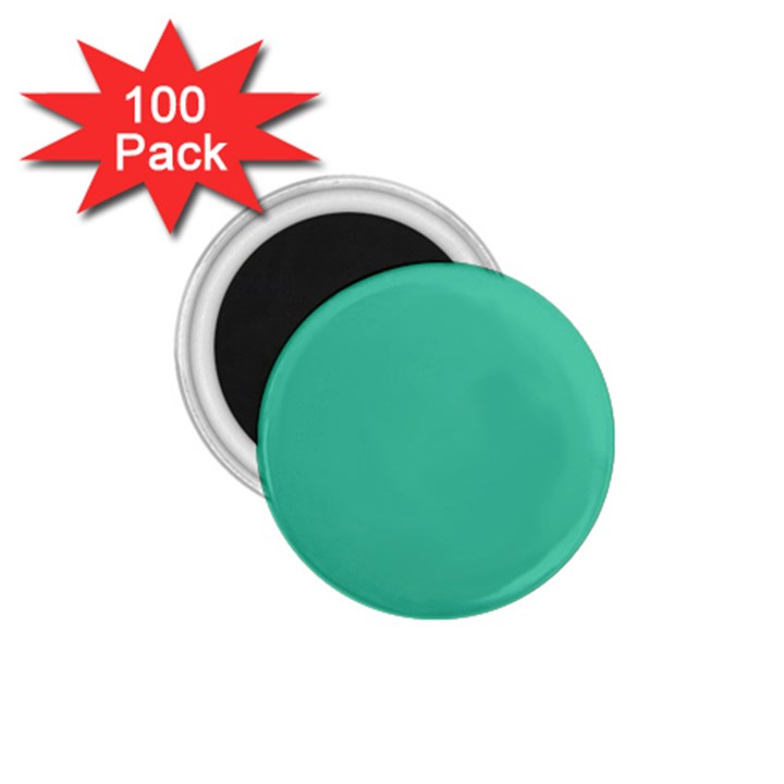 True Biscay Green Solid Color 1.75  Magnets (100 pack) 