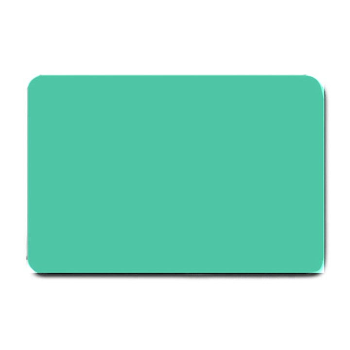 True Biscay Green Solid Color Small Doormat 