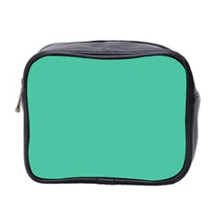 True Biscay Green Solid Color Mini Toiletries Bag (two Sides) by SpinnyChairDesigns