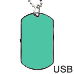 True Biscay Green Solid Color Dog Tag Usb Flash (one Side) by SpinnyChairDesigns